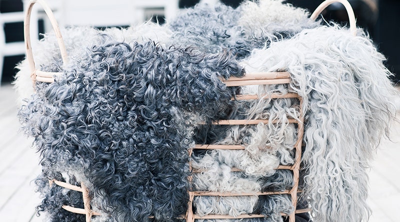 farskinn-skotselrad.jpg Sköt om dina fårskinnsmöbler för lång livslängd