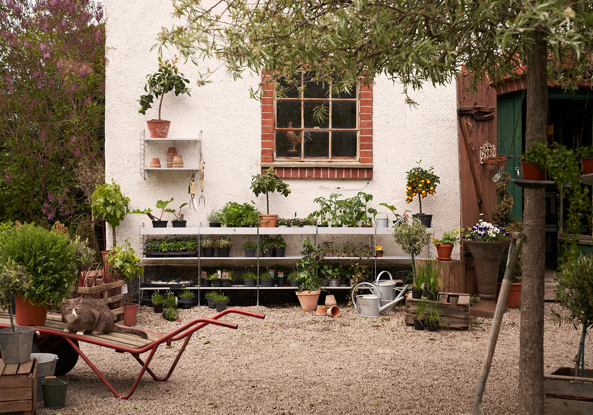 Trädgårdsmiljö med blommor på String hyllsystem