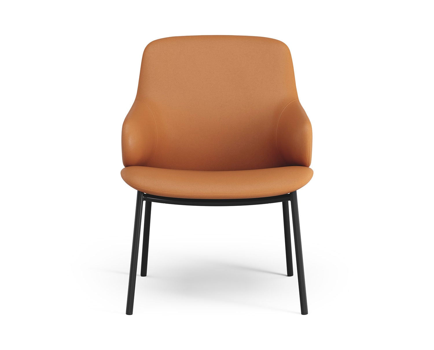 Fåtöljen Amstelle. Här visad med ben i svart metall, klädd i lädret Baltique 43003. 