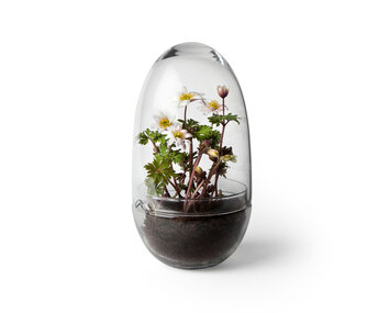 Grow-Greenhouse-Medium