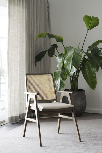 Prestwick Karmstol i brunlackad ek framför fönster med linnegardiner