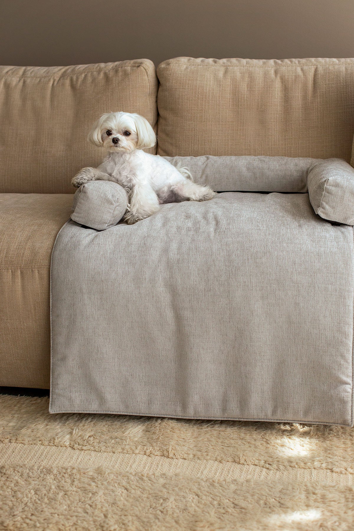 Collie Djursäng som ligger på en soffa med en vit hund som har sin tass på djursängen