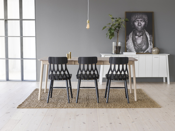 Hans_K_Y5_Bild_101_030