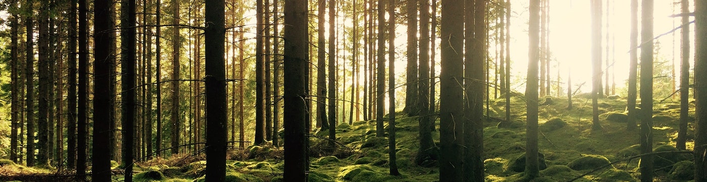 bra-miljoval.jpg Gör ett bra miljöval