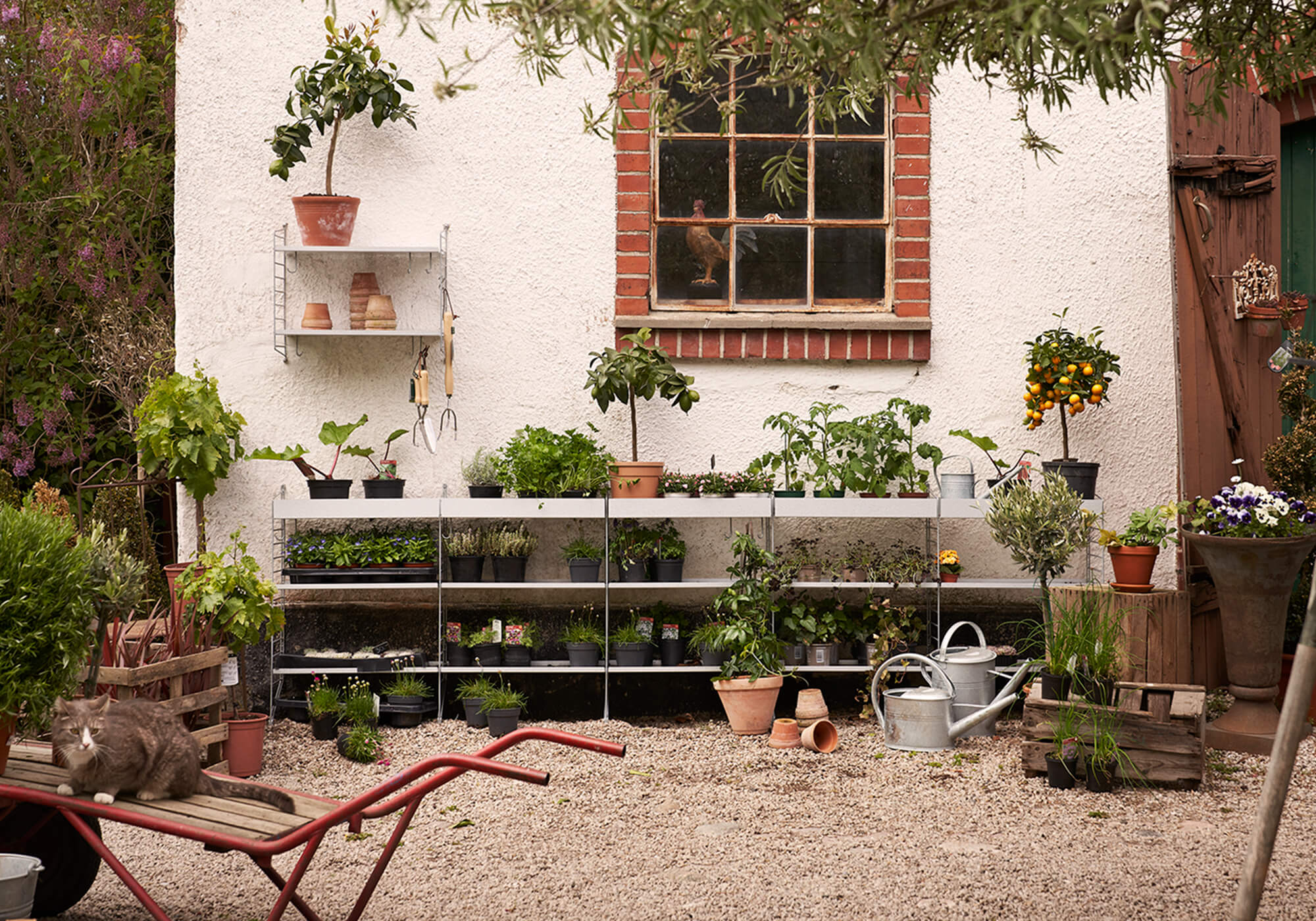 Inspiration String utomhus
