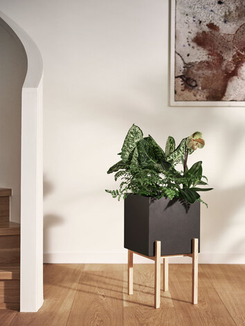 Botanic-Pedestal-Ash-Black-Miljo_2