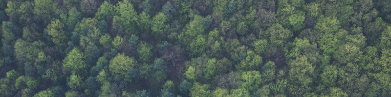 skog-bra-miljoval.jpg Handla svensktillverkade möbler hos Tibergs Möbler