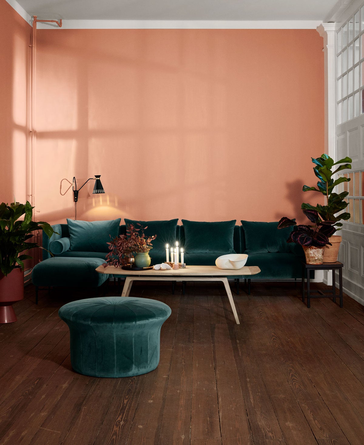 Surfboard-Soffbord-Vitoljad-Ek-Miljobild