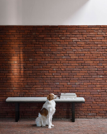 Stability-Bank-Miljo