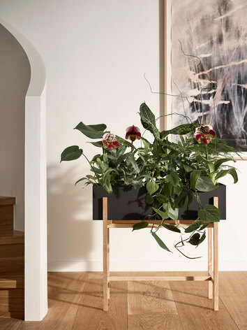 Botanic-Stand-Ash-Black-Miljo_1