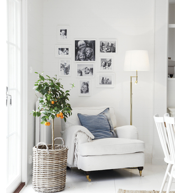 Orlando Golvlampa bredvid en fåtölj och ett apelsinträd i en korgkruka