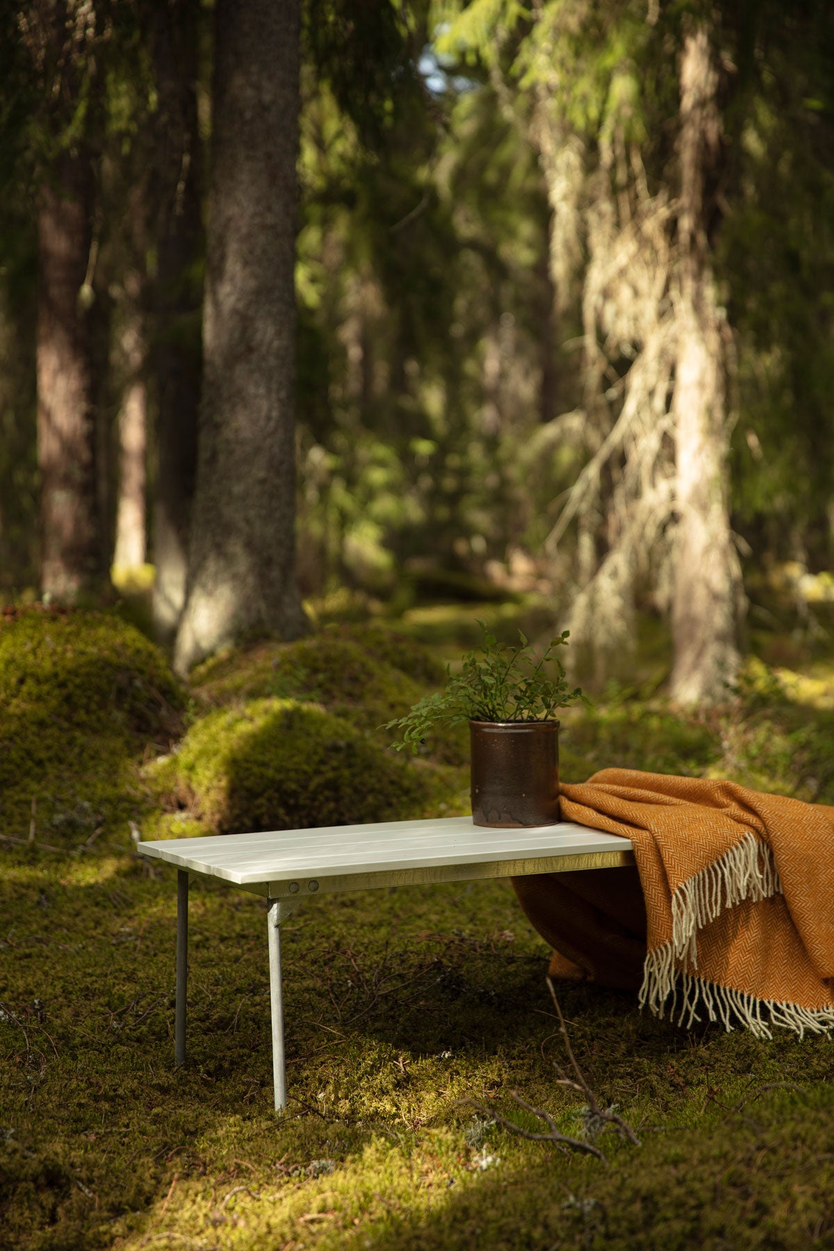 Bänk 8 i vitlackad ek från Grythyttan i solig skog med orange pläd