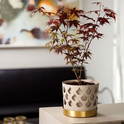 Trio-Drop-Liten-Beige-Miljo.jpg Trio Drop Liten Beige Kruka i vardagsrumsmiljö