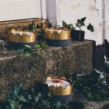 Fira Marschallhållare i grupp om tre på en stentrappa med murgröna