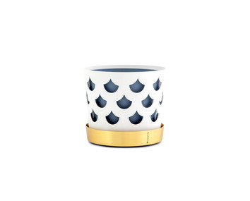 Trio-Drop-Small-Vit